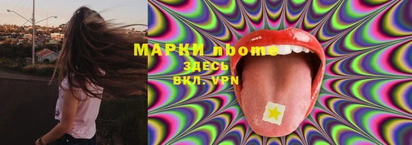 СК Кукмор