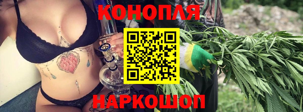 Канабис планчик Губаха